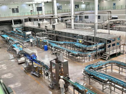 從產(chǎn)品創(chuàng)新到 芯片 育種 百億減免 促孝感米酒煥發(fā)新活力