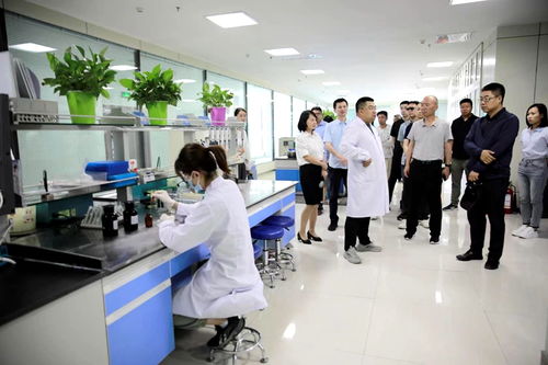 臨澤縣人民政府 知國情 話自信 海歸系列懇談會(huì)成員在臨澤縣考察