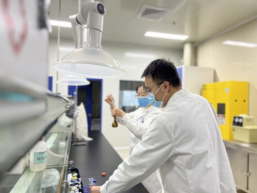 甘肅定西 保護藥材資源 推動中醫藥全產業鏈發展