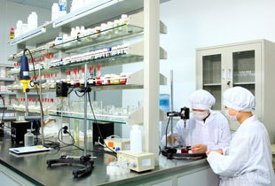 上海化妝品加工專(zhuān)業(yè)技術(shù)服務(wù)